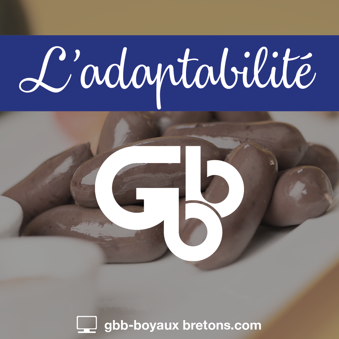 GBB Boyaux Bretons - Nos valeurs : l'adaptabilité
